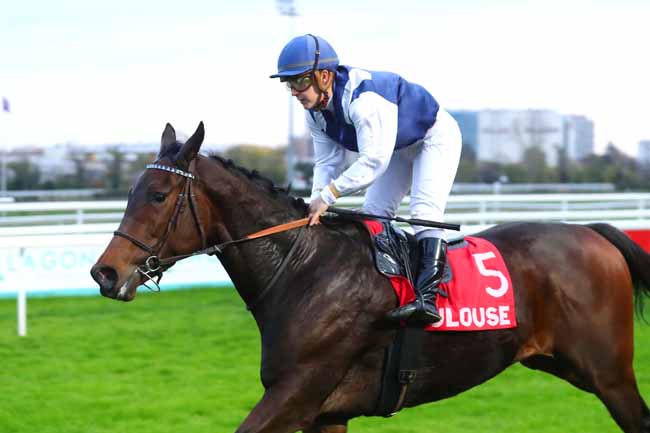 Photo d'arrivée de la course pmu PRIX TOULOUSE METROPOLE à TOULOUSE le Dimanche 27 novembre 2022