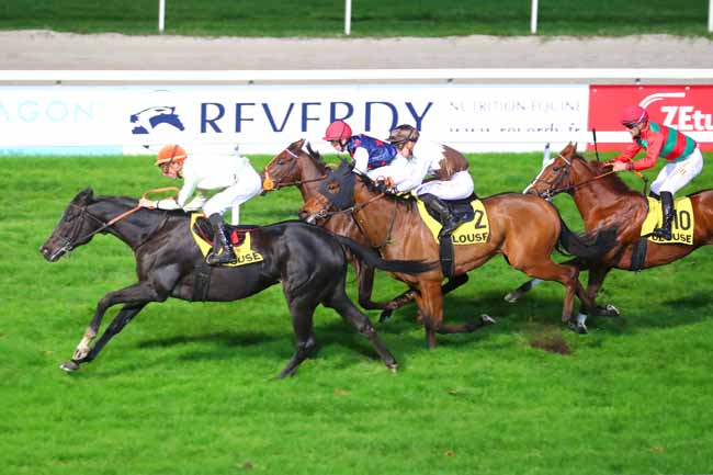 Photo d'arrivée de la course pmu PRIX FONDATION CLAUDE POMPIDOU à TOULOUSE le Dimanche 27 novembre 2022