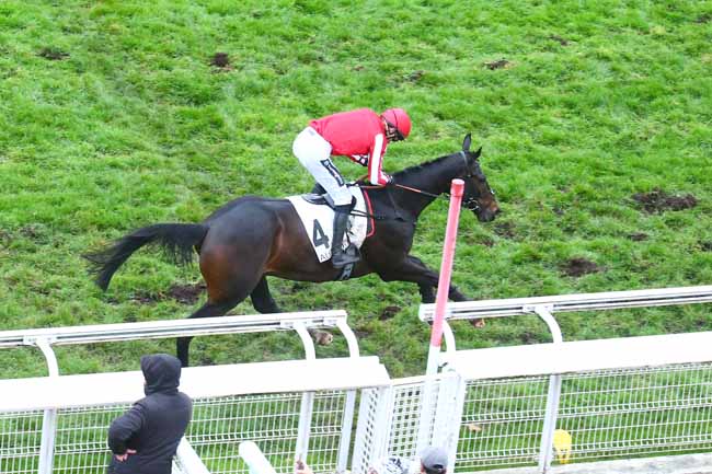 Photo d'arrivée de la course pmu PRIX RENAUD DU VIVIER (GRANDE COURSE DE HAIES DES 4 ANS) à AUTEUIL le Dimanche 27 novembre 2022