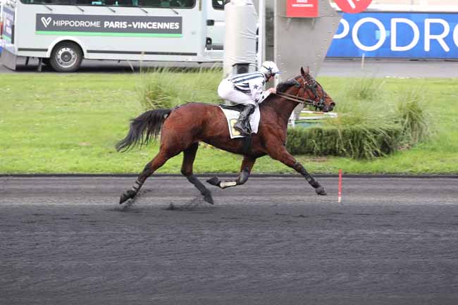 Photo d'arrivée de la course pmu PRIX DE LANDIVISIAU à PARIS-VINCENNES le Lundi 28 novembre 2022