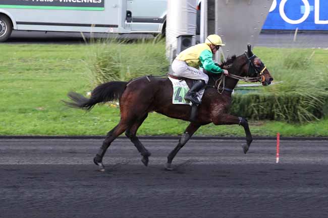 Photo d'arrivée de la course pmu PRIX DE SANTIGNY à PARIS-VINCENNES le Lundi 28 novembre 2022
