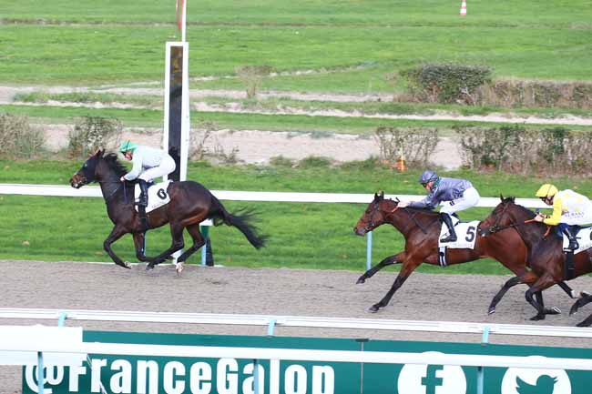 Photo d'arrivée de la course pmu PRIX DE LA LOUVIERE à DEAUVILLE le Mardi 29 novembre 2022
