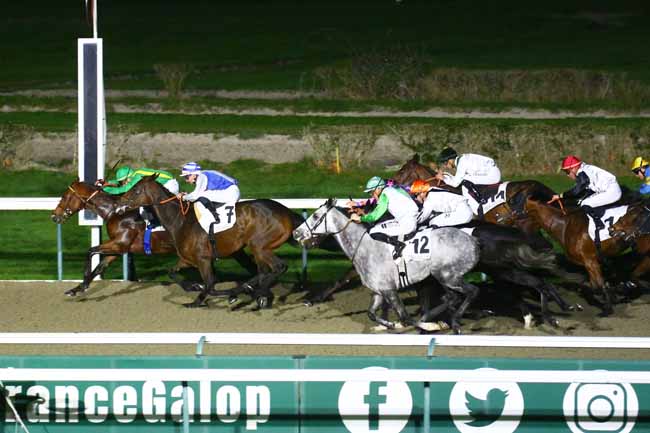 Photo d'arrivée de la course pmu PRIX DE LA HALLE AU BEURRE à DEAUVILLE le Mardi 29 novembre 2022