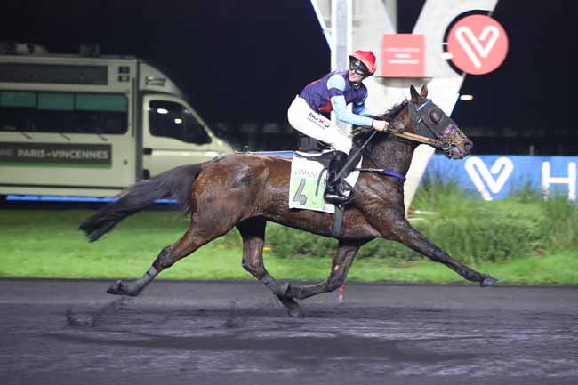 Photo d'arrivée de la course pmu PRIX PHILAGORIA à PARIS-VINCENNES le Mardi 29 novembre 2022