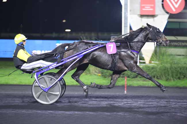 Photo d'arrivée de la course pmu PRIX MONOCEROS à PARIS-VINCENNES le Mardi 29 novembre 2022