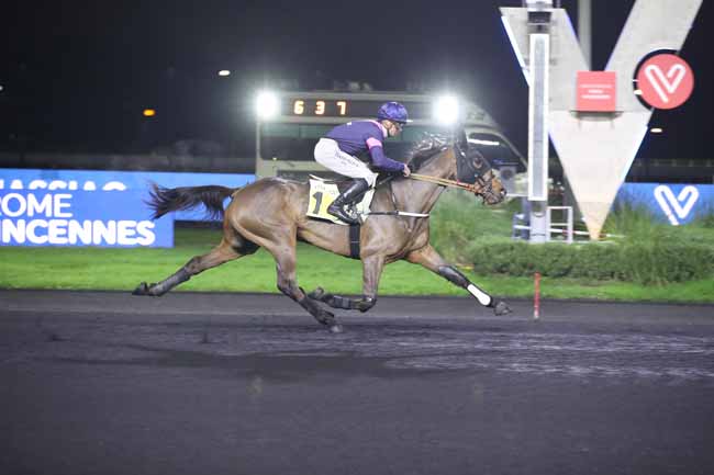 Photo d'arrivée de la course pmu PRIX DE MASSIAC à PARIS-VINCENNES le Mardi 29 novembre 2022