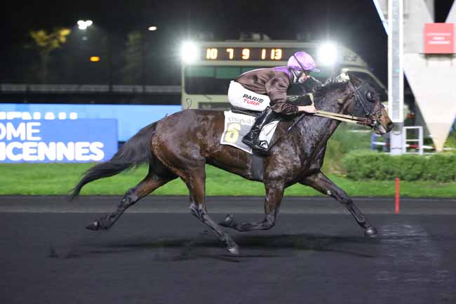 Photo d'arrivée de la course pmu PRIX GIENAH à PARIS-VINCENNES le Vendredi 2 décembre 2022
