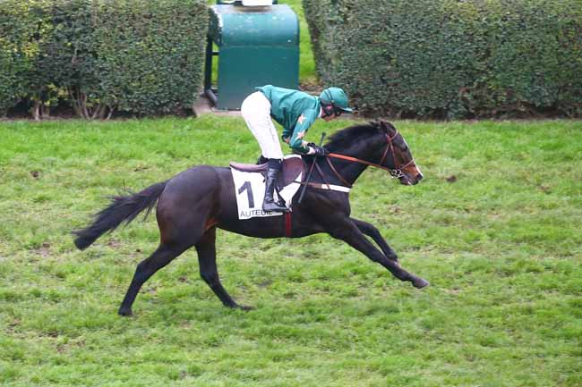 Photo d'arrivée de la course pmu PRIX PETIT BOB à AUTEUIL le Samedi 3 décembre 2022