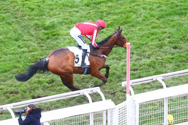 Photo d'arrivée de la course pmu PRIX LEON OLRY ROEDERER à AUTEUIL le Samedi 3 décembre 2022