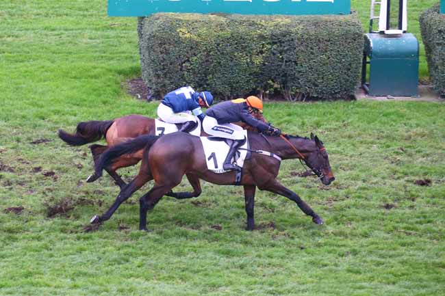 Photo d'arrivée de la course pmu PRIX GEORGES COURTOIS à AUTEUIL le Samedi 3 décembre 2022