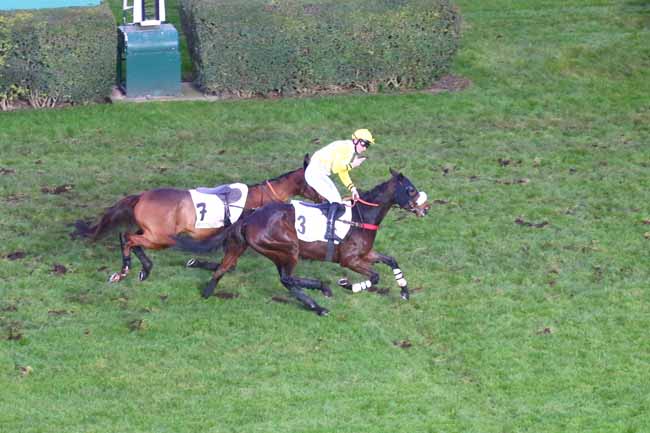 Photo d'arrivée de la course pmu PRIX JEAN LAUMAIN à AUTEUIL le Samedi 3 décembre 2022