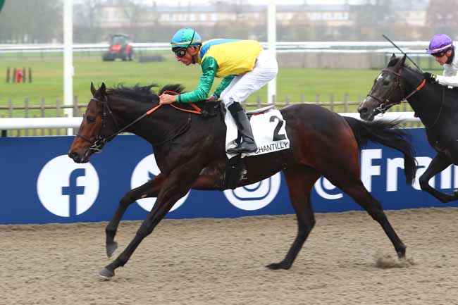 Photo d'arrivée de la course pmu PRIX DU CARREFOUR DU CHENE SEC à CHANTILLY le Mardi 6 décembre 2022