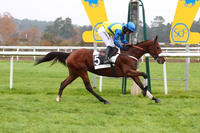 Photo d'arrivée de la course pmu PRIX COLONEL BEAUJEAN à FONTAINEBLEAU le Mardi 6 décembre 2022