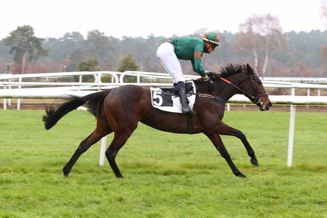 Photo d'arrivée de la course pmu PRIX DE LA MARE AUX CERFS à FONTAINEBLEAU le Mardi 6 décembre 2022