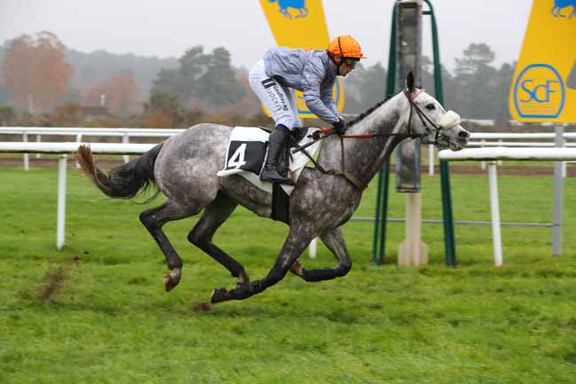 Photo d'arrivée de la course pmu PRIX DU MASSIF FORESTIER à FONTAINEBLEAU le Mardi 6 décembre 2022