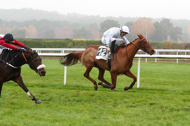 Photo d'arrivée de la course pmu PRIX DU FER A CHEVAL à FONTAINEBLEAU le Mardi 6 décembre 2022