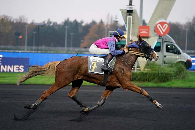 Photo d'arrivée de la course pmu PRIX D'ALES à PARIS-VINCENNES le Mardi 6 décembre 2022