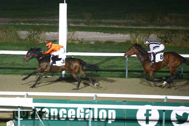 Photo d'arrivée de la course pmu PRIX DE ROIVILLE à DEAUVILLE le Vendredi 9 décembre 2022