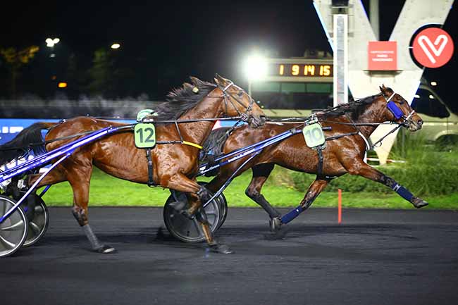 Photo d'arrivée de la course pmu PRIX DE DAMMARIE-LES-LYS à PARIS-VINCENNES le Samedi 10 décembre 2022
