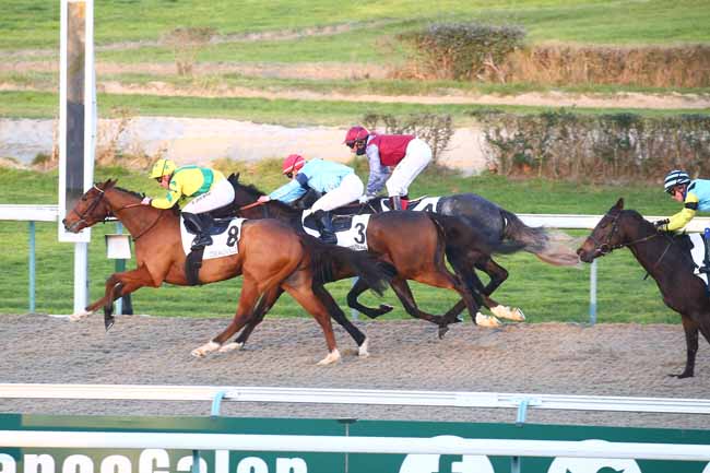Photo d'arrivée de la course pmu PRIX DE LONGNY-AU-PERCHE à DEAUVILLE le Samedi 10 décembre 2022