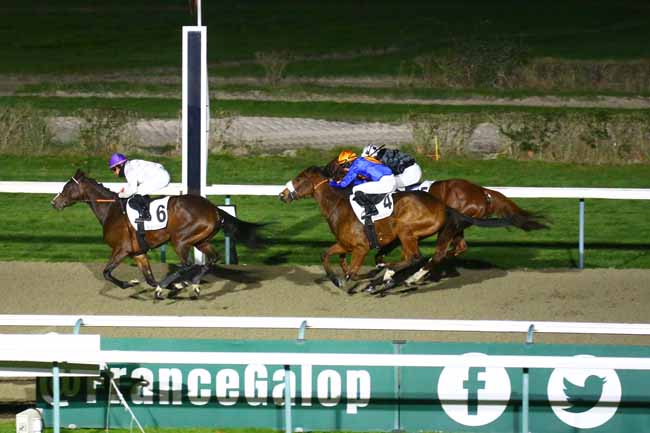 Photo d'arrivée de la course pmu PRIX DE MIRANDE à DEAUVILLE le Samedi 10 décembre 2022