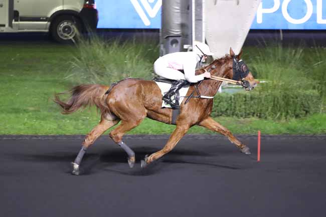 Photo d'arrivée de la course pmu PRIX DE ROSTRENEN à PARIS-VINCENNES le Dimanche 11 décembre 2022