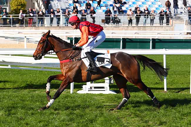 Photo d'arrivée de la course pmu PRIX DU MONT FALOURDE à CAGNES-SUR-MER le Lundi 12 décembre 2022