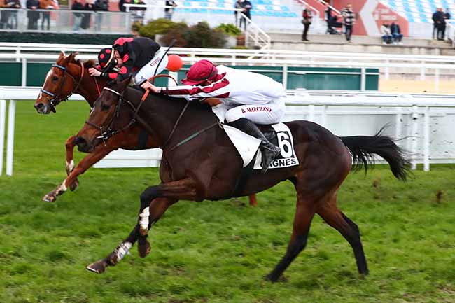 Photo d'arrivée de la course pmu PRIX DE LA PROMENADE DES ANGLAIS à CAGNES-SUR-MER le Lundi 12 décembre 2022