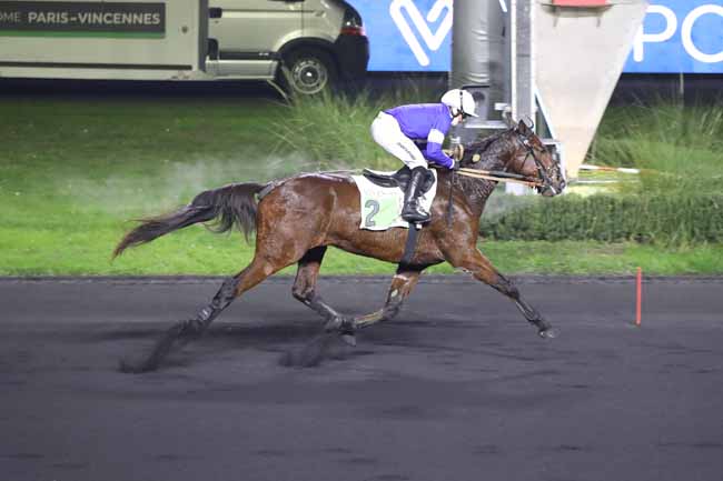 Photo d'arrivée de la course pmu PRIX DE GRAMAT à PARIS-VINCENNES le Lundi 12 décembre 2022