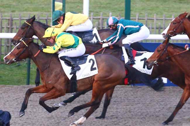 Photo d'arrivée de la course pmu PRIX DU TERRAIN DE MANOEUVRE à CHANTILLY le Mardi 13 décembre 2022