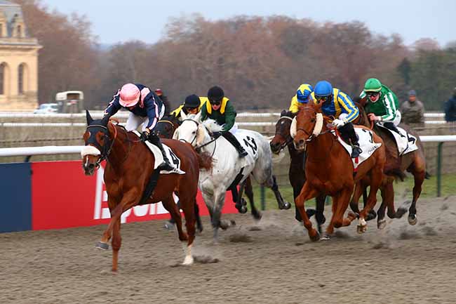 Photo d'arrivée de la course pmu PRIX DES JARDINS FAMILIAUX à CHANTILLY le Mardi 13 décembre 2022