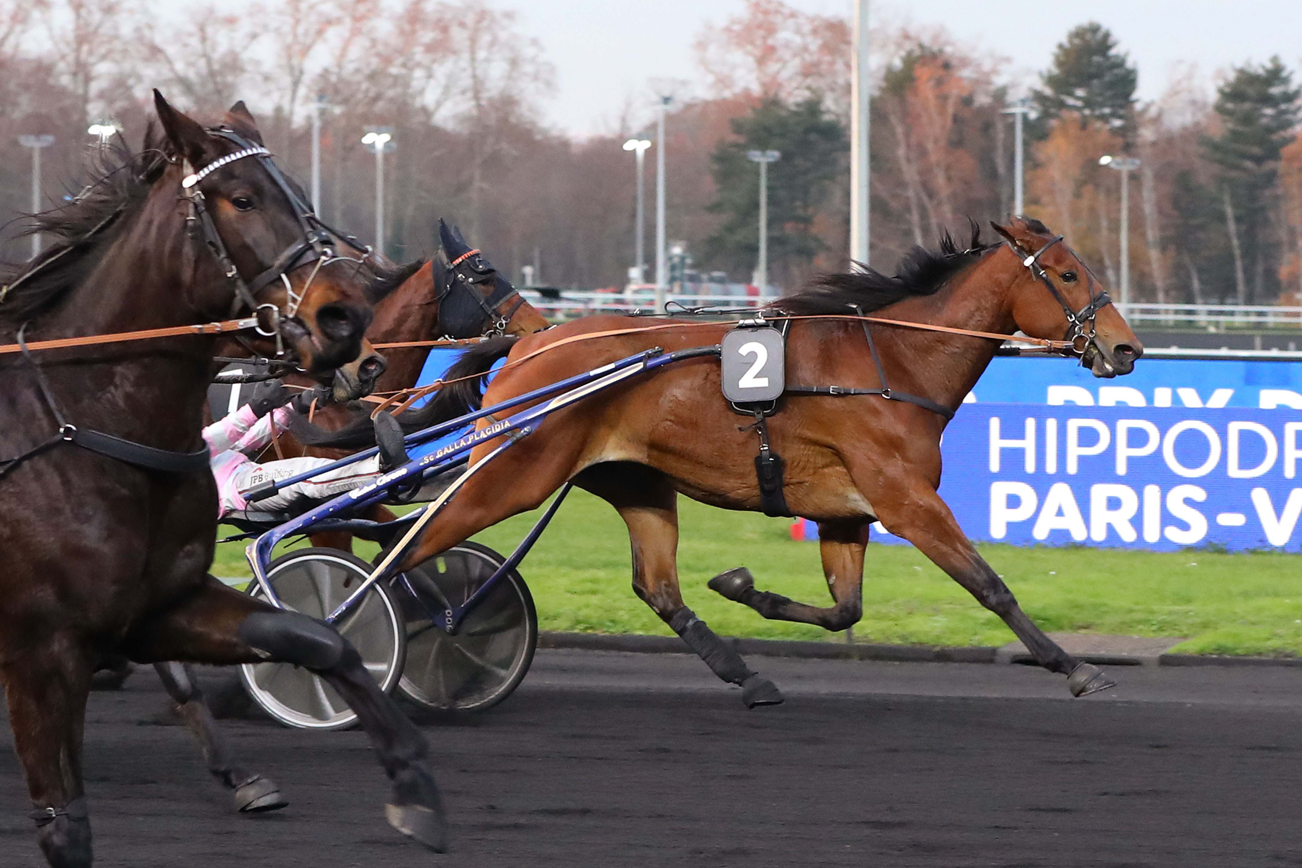 Photo d'arrivée de la course pmu PRIX DE MERAL à PARIS-VINCENNES le Mardi 13 décembre 2022