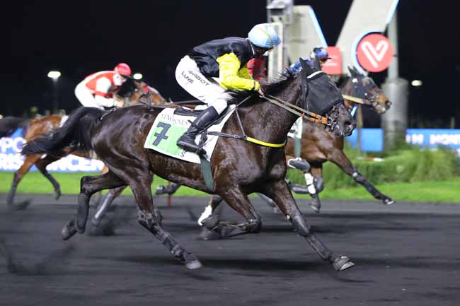 Photo d'arrivée de la course pmu PRIX DE MENDE à PARIS-VINCENNES le Mardi 13 décembre 2022