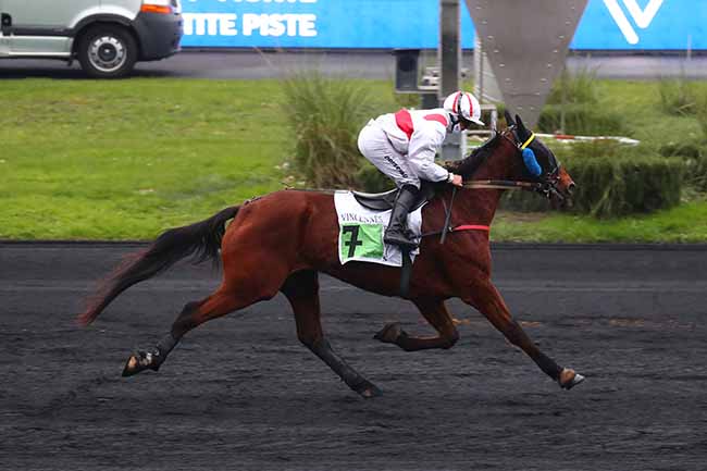 Photo d'arrivée de la course pmu PRIX DE LA FERTE-VIDAME à PARIS-VINCENNES le Mercredi 14 décembre 2022