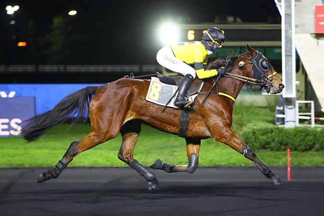 Photo d'arrivée de la course pmu PRIX DE POISSY à PARIS-VINCENNES le Jeudi 15 décembre 2022