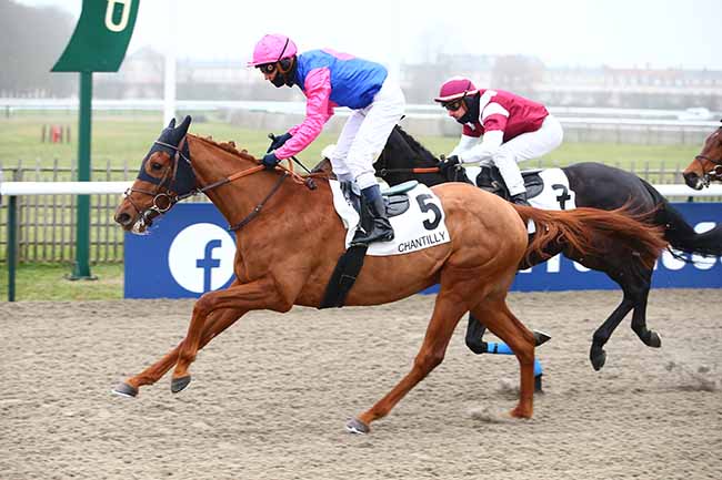 Photo d'arrivée de la course pmu PRIX DE WATERMAEL-BOITSFORT à CHANTILLY le Samedi 17 décembre 2022