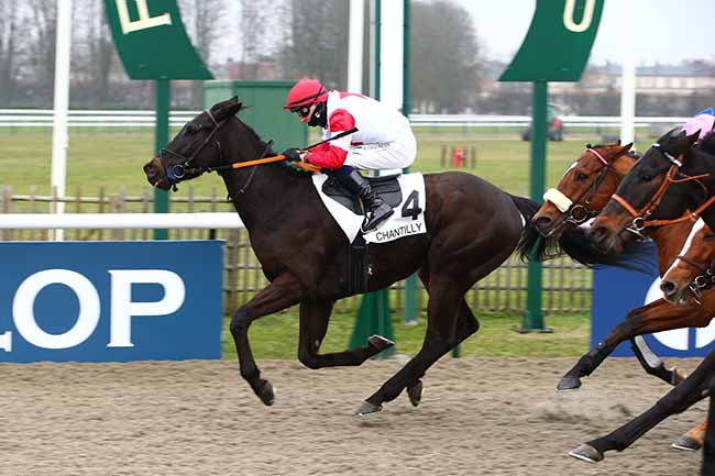 Photo d'arrivée de la course pmu PRIX DU CHEMIN DE FONTAINES à CHANTILLY le Samedi 17 décembre 2022