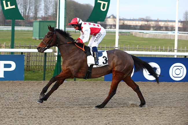 Photo d'arrivée de la course pmu PRIX D'ERCUIS à CHANTILLY le Samedi 17 décembre 2022