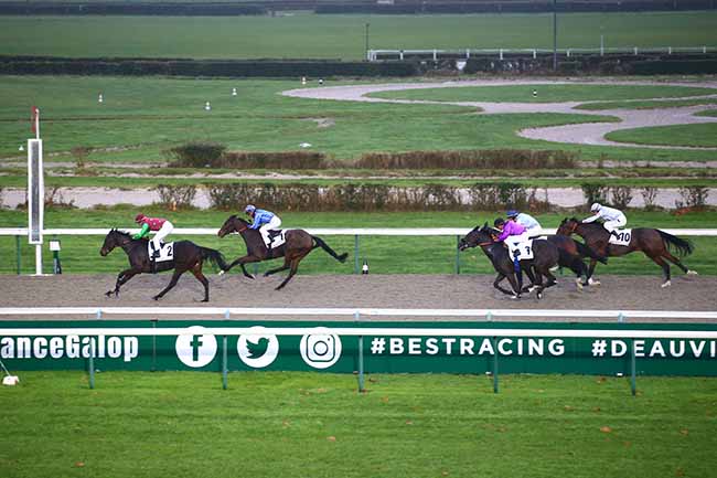 Photo d'arrivée de la course pmu PRIX DE DANESTAL à DEAUVILLE le Jeudi 22 décembre 2022