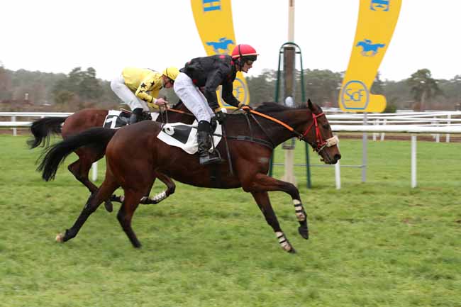Photo d'arrivée de la course pmu PRIX BARON MAURICE DE NEXON à FONTAINEBLEAU le Jeudi 22 décembre 2022