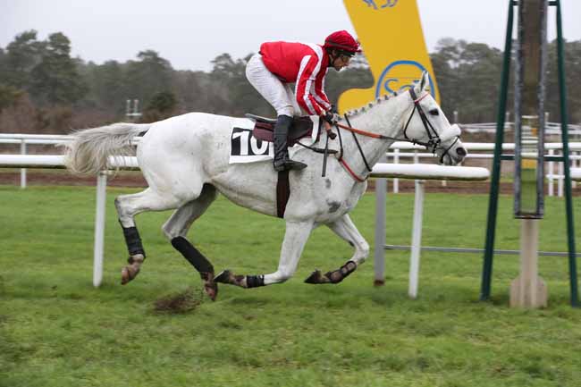 Photo d'arrivée de la course pmu PRIX BARON GEOFFROY DE WALDNER à FONTAINEBLEAU le Jeudi 22 décembre 2022