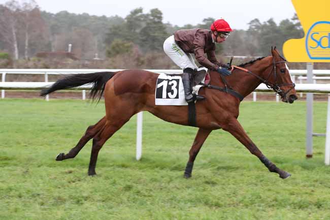 Photo d'arrivée de la course pmu PRIX RICHARD D'AYGUEVIVES à FONTAINEBLEAU le Jeudi 22 décembre 2022