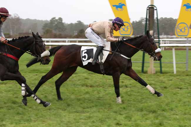 Photo d'arrivée de la course pmu PRIX DE FONTAINEBLEAU CHEVAL (PRIX DES ROSEAUX) à FONTAINEBLEAU le Jeudi 22 décembre 2022