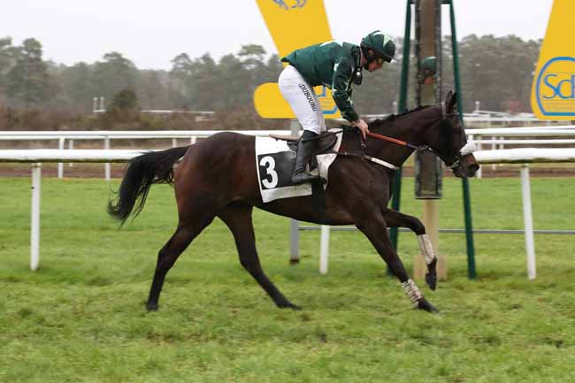 Photo d'arrivée de la course pmu PRIX DES GRANDS FEUILLARDS à FONTAINEBLEAU le Jeudi 22 décembre 2022