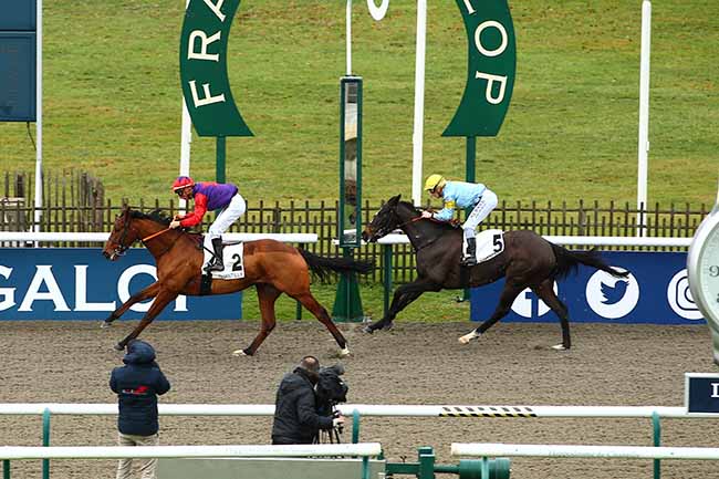 Photo d'arrivée de la course pmu PRIX DU CARREFOUR D'ORLEANS à CHANTILLY le Vendredi 23 décembre 2022