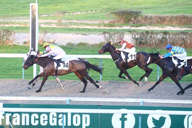 Photo d'arrivée de la course pmu PRIX DE LA VALLEE MAYEUX à DEAUVILLE le Lundi 26 décembre 2022