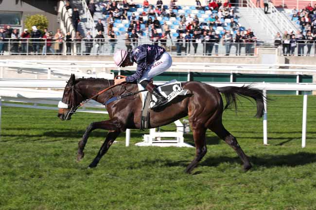 Photo d'arrivée de la course pmu PRIX DE LA BRETAGNE à CAGNES-SUR-MER le Mercredi 28 décembre 2022