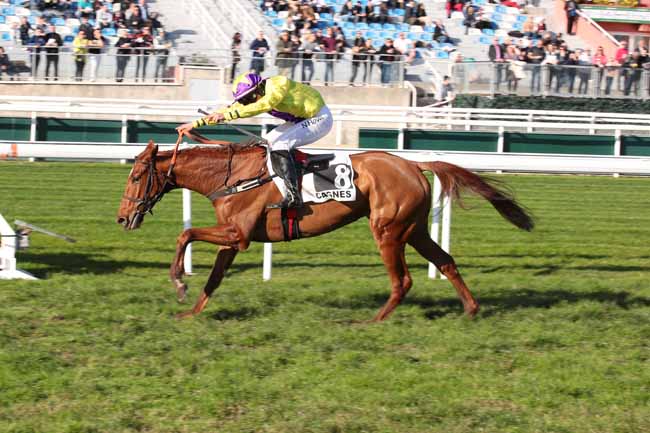 Photo d'arrivée de la course pmu PRIX DU PAYS DE LOIRE à CAGNES-SUR-MER le Mercredi 28 décembre 2022