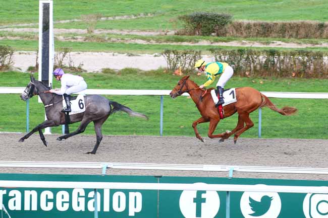 Photo d'arrivée de la course pmu PRIX DE LA PIERRE AUX FEES à DEAUVILLE le Vendredi 30 décembre 2022