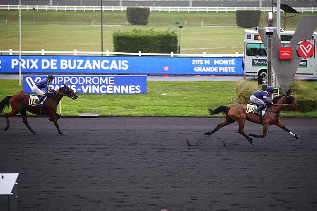 Photo d'arrivée de la course pmu PRIX DE BUZANCAIS à PARIS-VINCENNES le Mercredi 4 janvier 2023